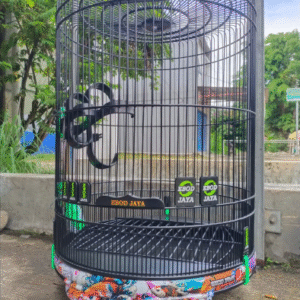 Sangkar Ebod Jaya Koi